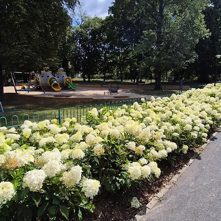 Towarowa Flowers Apartment, Free Parking, Air-conditioning, Self Check-in 24h Апартаменты *